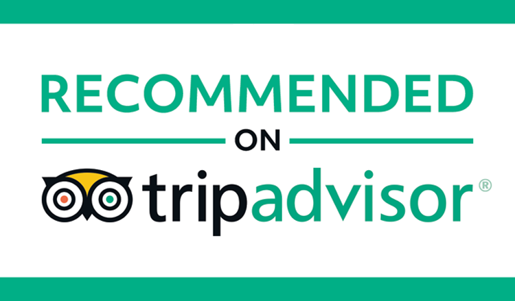 Trip Advisor Ad.