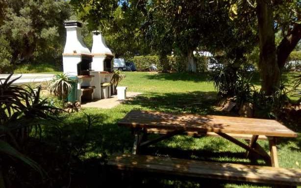 BBQ (1)